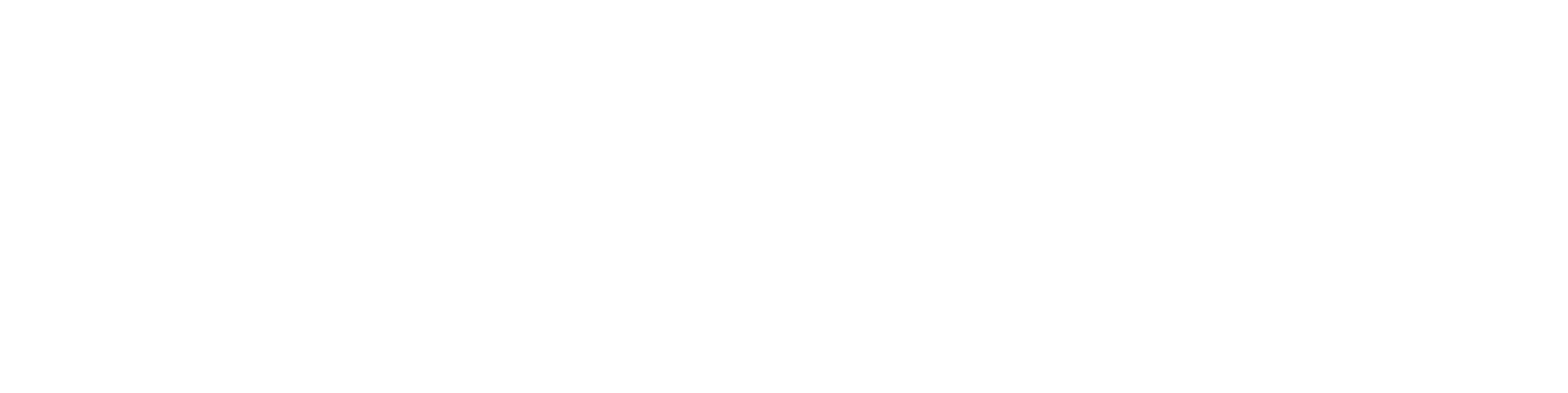 Valentini Consulting Logo